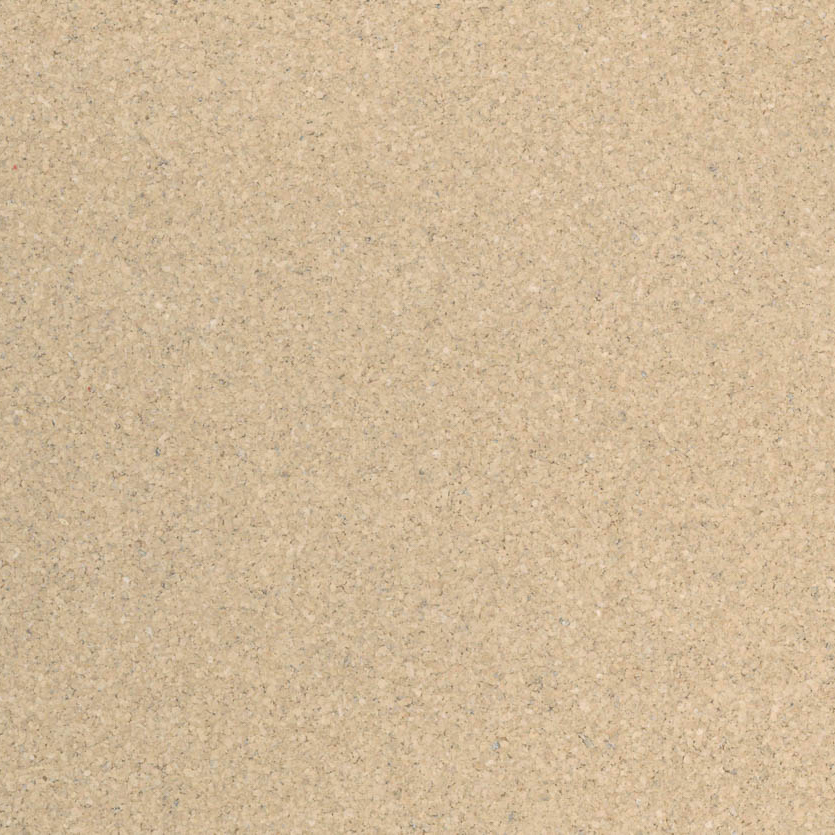 Earth Tones Sand